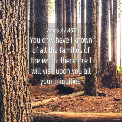 Picture 04 - Amos 3:2 ASV - You only have I known of all the families of the - Bible Verse Picture