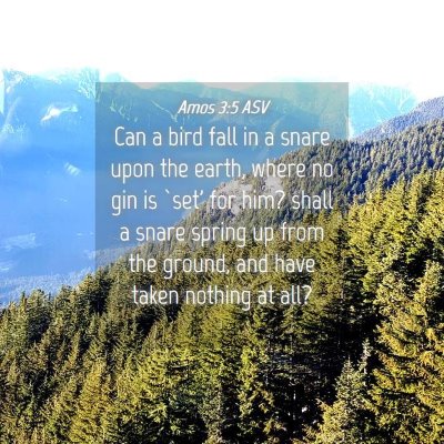 Picture 04 - Amos 3:5 ASV - Can a bird fall in a snare upon the earth, where - Bible Verse Picture