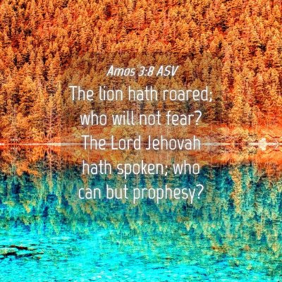 Picture 04 - Amos 3:8 ASV - The lion hath roared; who will not fear? The Lord - Bible Verse Picture