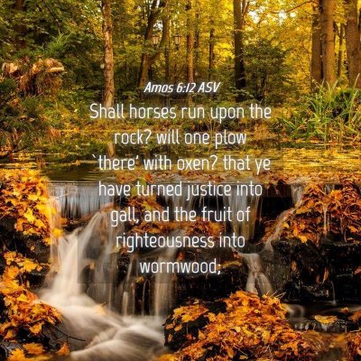Picture 04 - Amos 6:12 ASV - Shall horses run upon the rock? will one plow - Bible Verse Picture