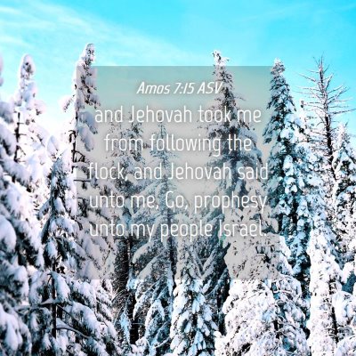 Picture 04 - Amos 7:15 ASV - and Jehovah took me from following the flock, and - Bible Verse Picture