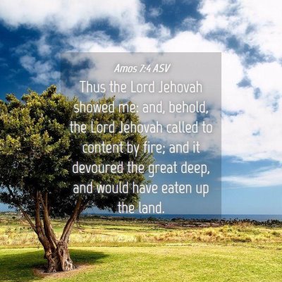 Picture 04 - Amos 7:4 ASV - Thus the Lord Jehovah showed me: and, behold, the - Bible Verse Picture