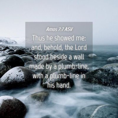 Picture 04 - Amos 7:7 ASV - Thus he showed me: and, behold, the Lord stood - Bible Verse Picture