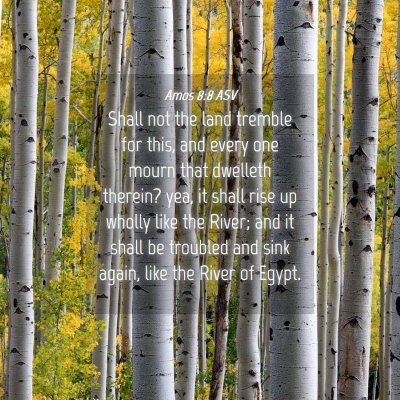 Picture 04 - Amos 8:8 ASV - Shall not the land tremble for this, and every - Bible Verse Picture