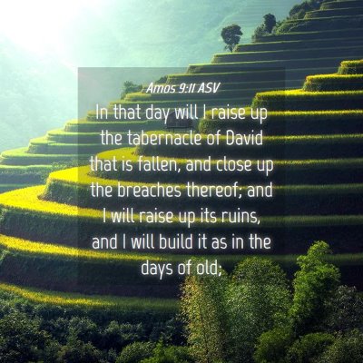 Picture 04 - Amos 9:11 ASV - In that day will I raise up the tabernacle of - Bible Verse Picture
