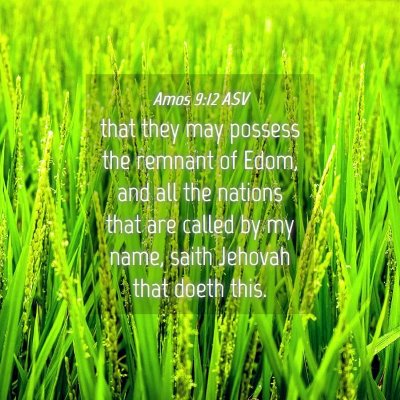 Picture 04 - Amos 9:12 ASV - that they may possess the remnant of Edom, and - Bible Verse Picture