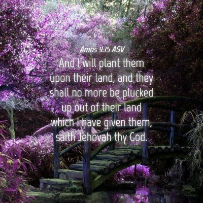 Picture 04 - Amos 9:15 ASV - And I will plant them upon their land, and they - Bible Verse Picture