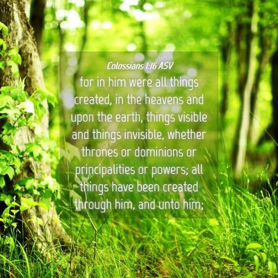 Picture 04 - Colossians 1:16 ASV - for in him were all things created, in the - Bible Verse Picture