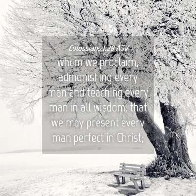 Picture 04 - Colossians 1:28 ASV - whom we proclaim, admonishing every man and - Bible Verse Picture