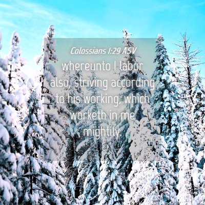 Picture 04 - Colossians 1:29 ASV - whereunto I labor also, striving according to his - Bible Verse Picture