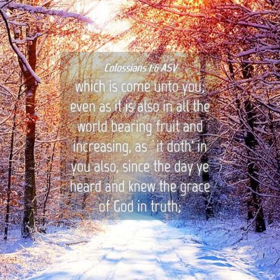 Picture 04 - Colossians 1:6 ASV - which is come unto you; even as it is also in all - Bible Verse Picture