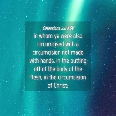 Picture 04 - Colossians 2:11 ASV - in whom ye were also circumcised with a - Bible Verse Picture