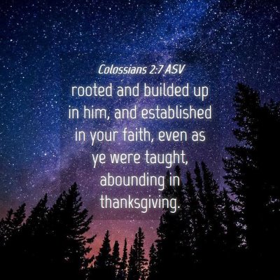 Picture 04 - Colossians 2:7 ASV - rooted and builded up in him, and established in - Bible Verse Picture