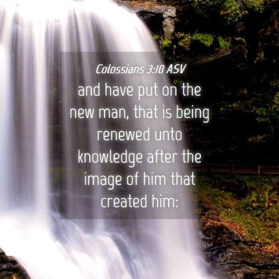 Picture 04 - Colossians 3:10 ASV - and have put on the new man, that is being - Bible Verse Picture