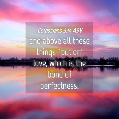 Picture 04 - Colossians 3:14 ASV - and above all these things `put on' love, which - Bible Verse Picture
