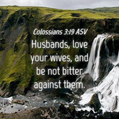 Picture 04 - Colossians 3:19 ASV - Husbands, love your wives, and be not bitter - Bible Verse Picture