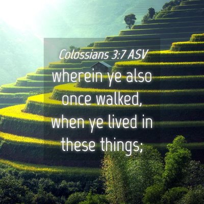 Picture 04 - Colossians 3:7 ASV - wherein ye also once walked, when ye lived in - Bible Verse Picture