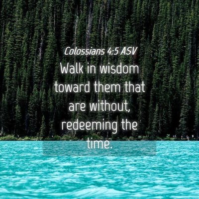Picture 04 - Colossians 4:5 ASV - Walk in wisdom toward them that are without, - Bible Verse Picture