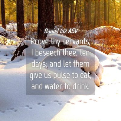 Picture 04 - Daniel 1:12 ASV - Prove thy servants, I beseech thee, ten days; and - Bible Verse Picture