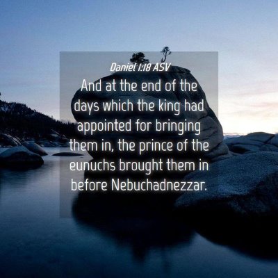 Picture 04 - Daniel 1:18 ASV - And at the end of the days which the king had - Bible Verse Picture