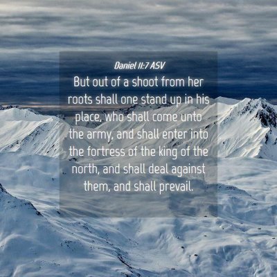Picture 04 - Daniel 11:7 ASV - But out of a shoot from her roots shall one stand - Bible Verse Picture