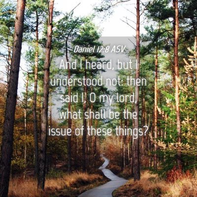Picture 04 - Daniel 12:8 ASV - And I heard, but I understood not: then said I, O - Bible Verse Picture