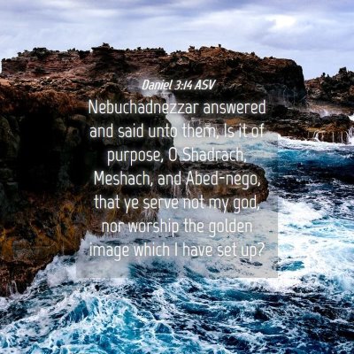 Picture 04 - Daniel 3:14 ASV - Nebuchadnezzar answered and said unto them, Is it - Bible Verse Picture