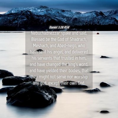Picture 04 - Daniel 3:28 ASV - Nebuchadnezzar spake and said, Blessed be the God - Bible Verse Picture