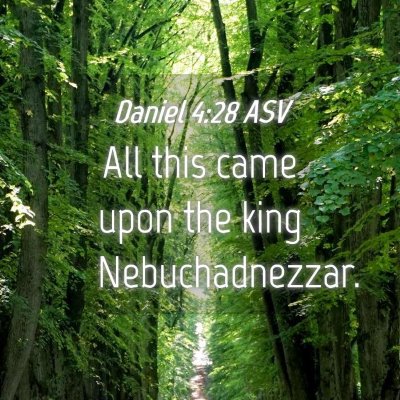 Picture 04 - Daniel 4:28 ASV - All this came upon the king - Bible Verse Picture