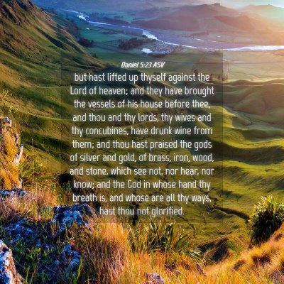 Picture 04 - Daniel 5:23 ASV - but hast lifted up thyself against the Lord of - Bible Verse Picture