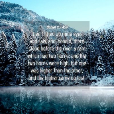Picture 04 - Daniel 8:3 ASV - Then I lifted up mine eyes, and saw, and, behold, - Bible Verse Picture