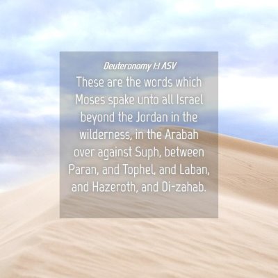 Picture 04 - Deuteronomy 1:1 ASV - These are the words which Moses spake unto all - Bible Verse Picture
