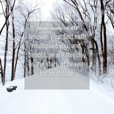Picture 04 - Deuteronomy 1:10 ASV - Jehovah your God hath multiplied you, and, - Bible Verse Picture