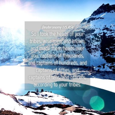 Picture 04 - Deuteronomy 1:15 ASV - So I took the heads of your tribes, wise men, and - Bible Verse Picture