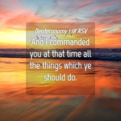 Picture 04 - Deuteronomy 1:18 ASV - And I commanded you at that time all the things - Bible Verse Picture