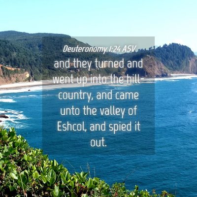 Picture 04 - Deuteronomy 1:24 ASV - and they turned and went up into the - Bible Verse Picture