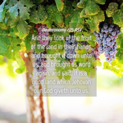 Picture 04 - Deuteronomy 1:25 ASV - And they took of the fruit of the land in their - Bible Verse Picture