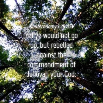 Picture 04 - Deuteronomy 1:26 ASV - Yet ye would not go up, but rebelled against the - Bible Verse Picture