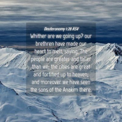Picture 04 - Deuteronomy 1:28 ASV - Whither are we going up? our brethren have made - Bible Verse Picture