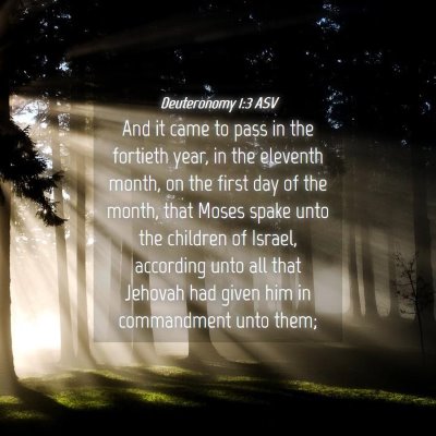 Picture 04 - Deuteronomy 1:3 ASV - And it came to pass in the fortieth year, in the - Bible Verse Picture