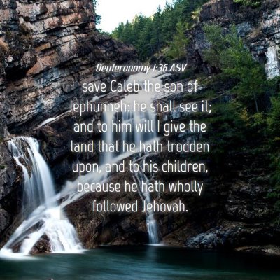 Picture 04 - Deuteronomy 1:36 ASV - save Caleb the son of Jephunneh: he shall see it; - Bible Verse Picture