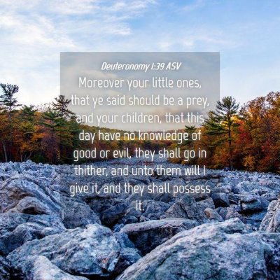 Picture 04 - Deuteronomy 1:39 ASV - Moreover your little ones, that ye said should be - Bible Verse Picture