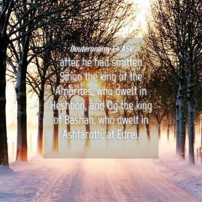 Picture 04 - Deuteronomy 1:4 ASV - after he had smitten Sihon the king of the - Bible Verse Picture