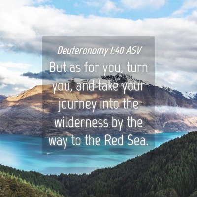 Picture 04 - Deuteronomy 1:40 ASV - But as for you, turn you, and take your journey - Bible Verse Picture