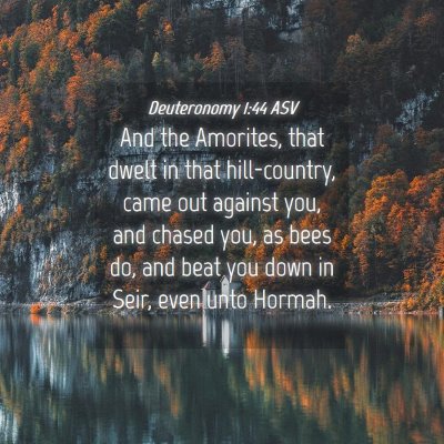 Picture 04 - Deuteronomy 1:44 ASV - And the Amorites, that dwelt in that - Bible Verse Picture