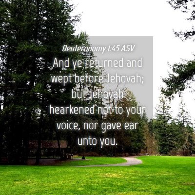 Picture 04 - Deuteronomy 1:45 ASV - And ye returned and wept before Jehovah; but - Bible Verse Picture