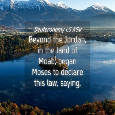 Picture 04 - Deuteronomy 1:5 ASV - Beyond the Jordan, in the land of Moab, began - Bible Verse Picture