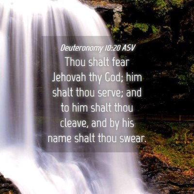 Picture 04 - Deuteronomy 10:20 ASV - Thou shalt fear Jehovah thy God; him shalt thou - Bible Verse Picture