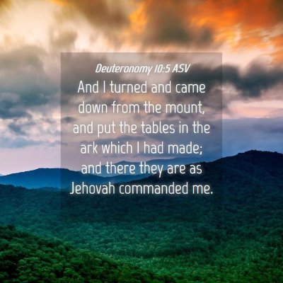 Picture 04 - Deuteronomy 10:5 ASV - And I turned and came down from the mount, and - Bible Verse Picture
