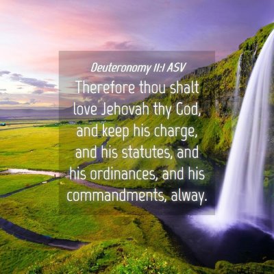Picture 04 - Deuteronomy 11:1 ASV - Therefore thou shalt love Jehovah thy God, and - Bible Verse Picture